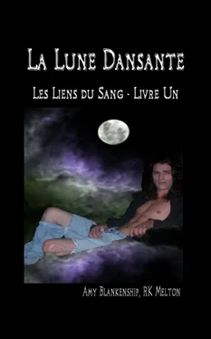 Amy Blankenship La Lune Dansante обложка книги