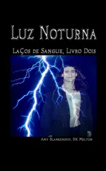 Amy Blankenship - Luz Noturna