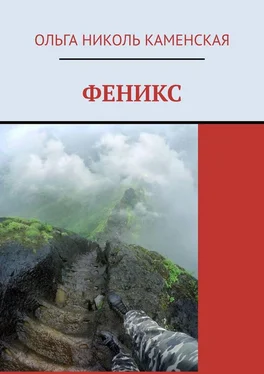 Ольга Каменская Феникс обложка книги