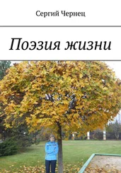 Сергий Чернец - Поэзия жизни