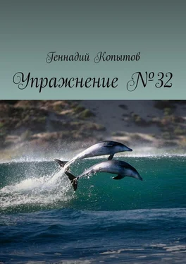 Геннадий Копытов Упражнение №32 обложка книги