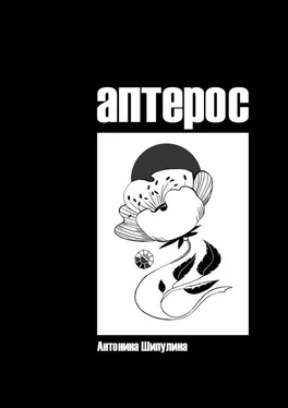 Антонина Шипулина Аптерос обложка книги