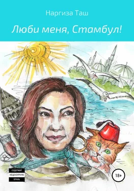 Наргиза Таш Люби меня, Стамбул! обложка книги