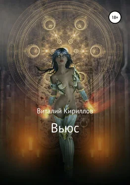 Виталий Кириллов Вьюс обложка книги