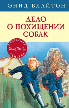 Энид Блайтон Дело о похищении собак обложка книги