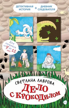 Светлана Лаврова Дело с крокодилом обложка книги