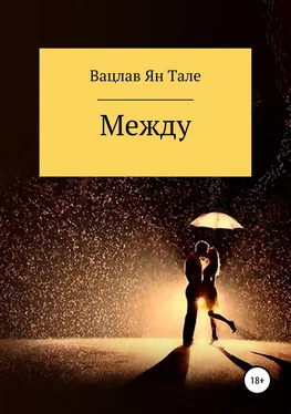 Вацлав Ян Тале Между обложка книги