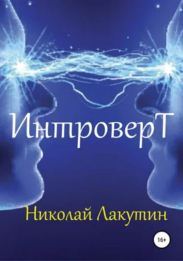 Николай Лакутин Интроверт обложка книги