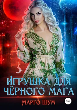 Марго Шум Игрушка для чёрного мага обложка книги