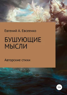 Евгений Евсеенко Бушующие мысли обложка книги