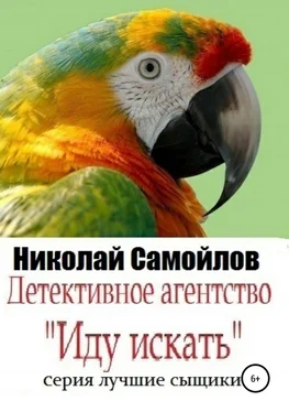 Николай Самойлов Детективное агентство «Иду искать» обложка книги