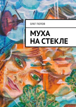 Олег Попов Муха на стекле обложка книги