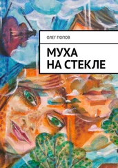 Олег Попов - Муха на стекле