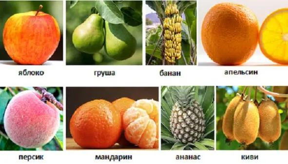 Перед тобой яблоко мандарин апельсин персик груша ананас банан киви - фото 16