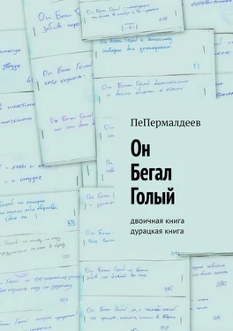 ПеПермалдеев Он Бегал Голый. Двоичная книга. Дурацкая книга обложка книги