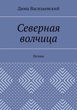 Дима Васильевский Северная волчица. Поэмы обложка книги