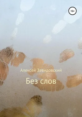 Алексей Завидовский Без слов обложка книги