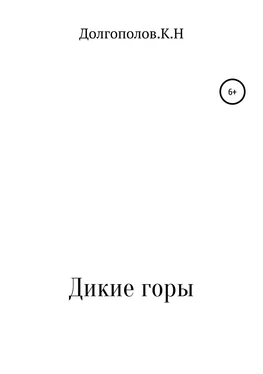 Кирилл Долгополов Дикие горы обложка книги