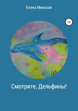 Елена Минская Смотрите, Дельфины! обложка книги