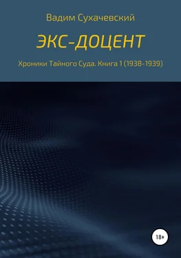 Вадим Сухачевский Экс-доцент обложка книги