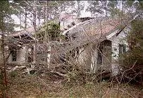 Ecco la prima casa di Johnson Oltre a suonare larpa e larmonica il nostro - фото 3