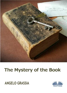 Angelo Grassia The Mistery Of The Book обложка книги