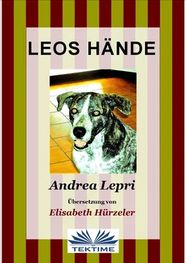 Andrea Lepri Leos Hände обложка книги