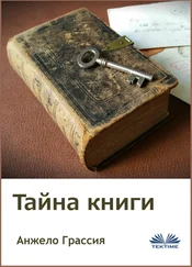 Angelo Grassia - Тайна книги