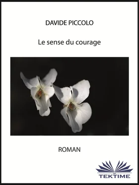 Davide Piccolo Le Sens Du Courage обложка книги