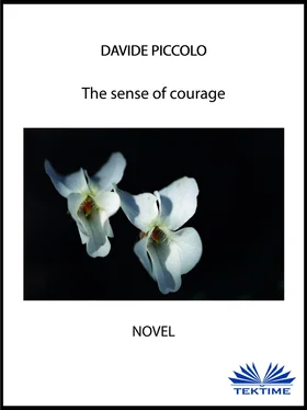 Martyn Fogg The Sense Of Courage обложка книги
