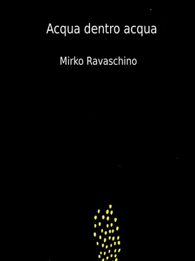 Mirko Ravaschino Acqua Dentro Acqua обложка книги