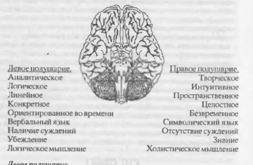 Но мозг является дуальной системой Для чего же тогда служит его вторая - фото 1