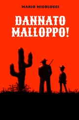 Mario Micolucci - Dannato Malloppo!