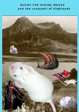 Fabio Pozzoni Bleiki The Viking Mouse And The Conquest Of Highlands обложка книги