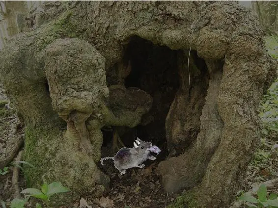 Egill brings his baby in the hollow tree You should know that in Viking folk - фото 3