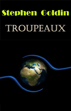 Stephen Goldin Troupeaux обложка книги
