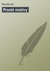 Neruda Jan - Prosté motivy