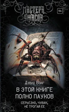 Дэвид Вонг В этой книге полно пауков. Серьезно, чувак, не трогай ее обложка книги