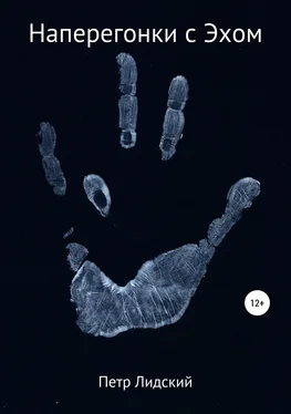 Петр Лидский Наперегонки с Эхом обложка книги
