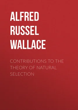 Alfred Wallace Contributions to the Theory of Natural Selection обложка книги