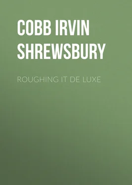 Irvin Cobb Roughing it De Luxe обложка книги