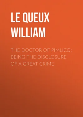 William Le Queux The Doctor of Pimlico: Being the Disclosure of a Great Crime обложка книги