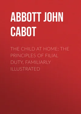 John Abbott The Child at Home: The Principles of Filial Duty, Familiarly Illustrated обложка книги