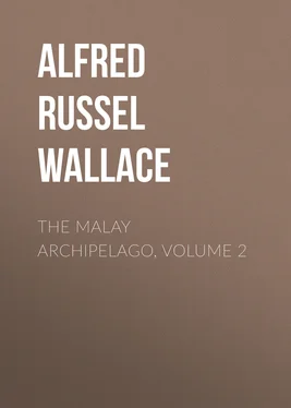 Alfred Wallace The Malay Archipelago, Volume 2 обложка книги