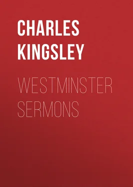 Charles Kingsley Westminster Sermons обложка книги