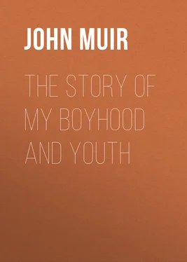 John Muir The Story of My Boyhood and Youth обложка книги
