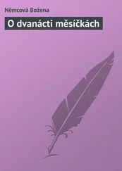 Němcová Božena - O dvanácti měsíčkách