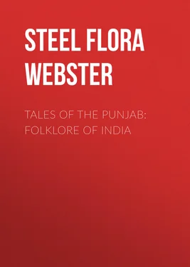 Flora Steel Tales of the Punjab: Folklore of India обложка книги