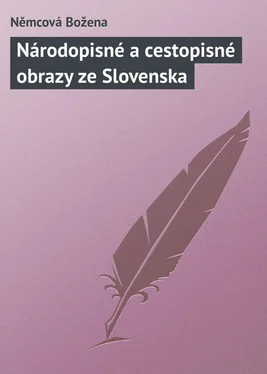 Němcová Božena Národopisné a cestopisné obrazy ze Slovenska обложка книги