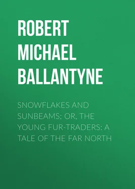 Robert Michael Ballantyne Snowflakes and Sunbeams; Or, The Young Fur-traders: A Tale of the Far North обложка книги